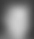 No picture of Dan Diephouse